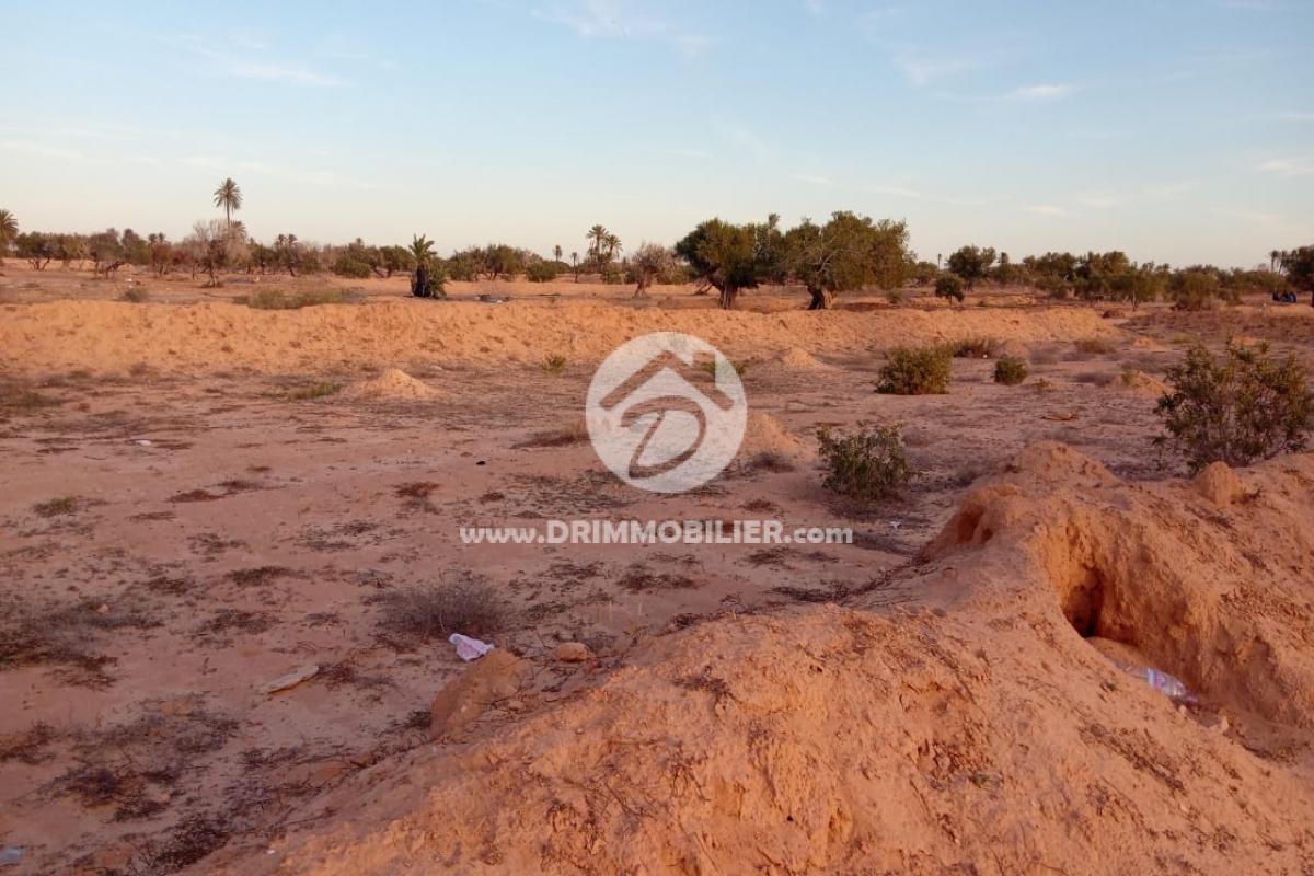 V731 -                            Vente
                           Terrain Djerba