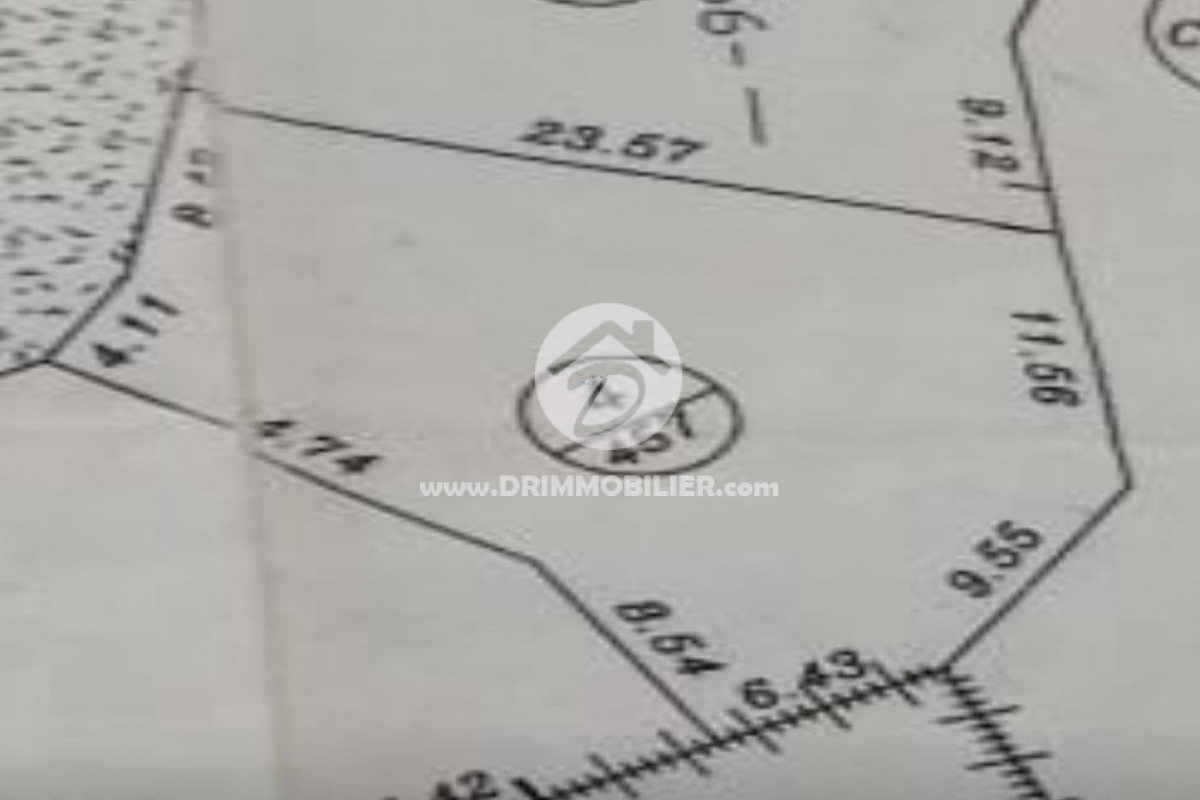 V741 -                            Vente
                           Terrain Djerba