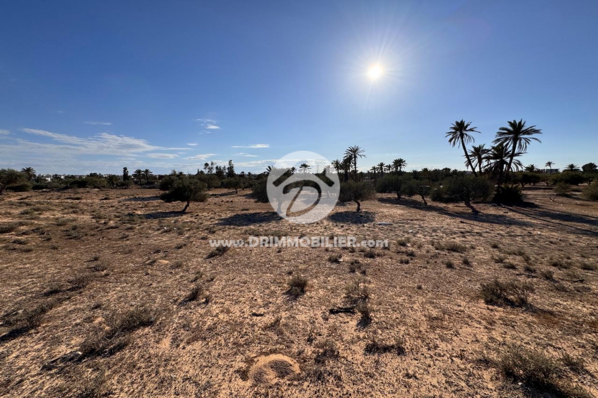 V745 -   Villa avec piscine Djerba