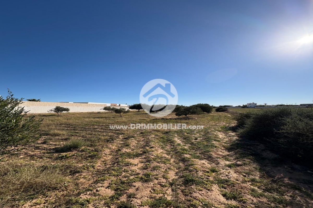 V750 -                            Vente
                           Terrain Djerba