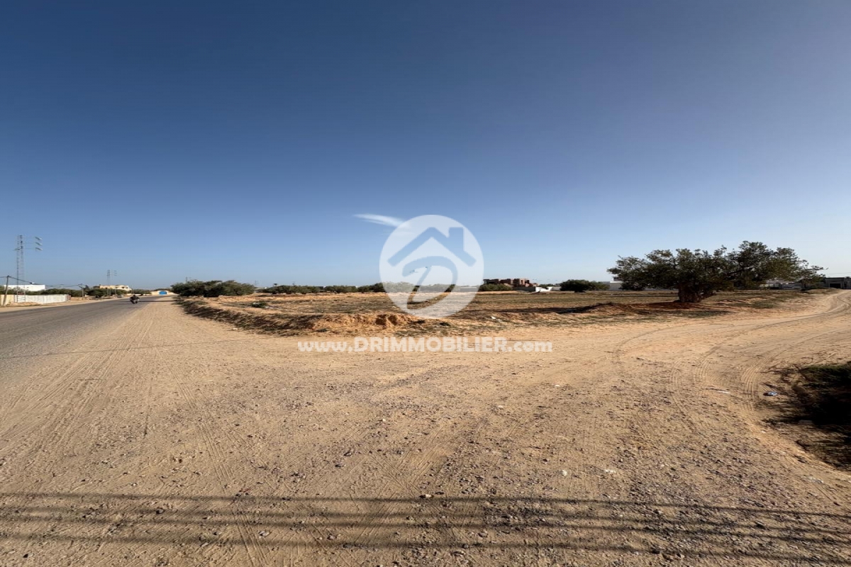V752 -                            Vente
                           Terrain Djerba