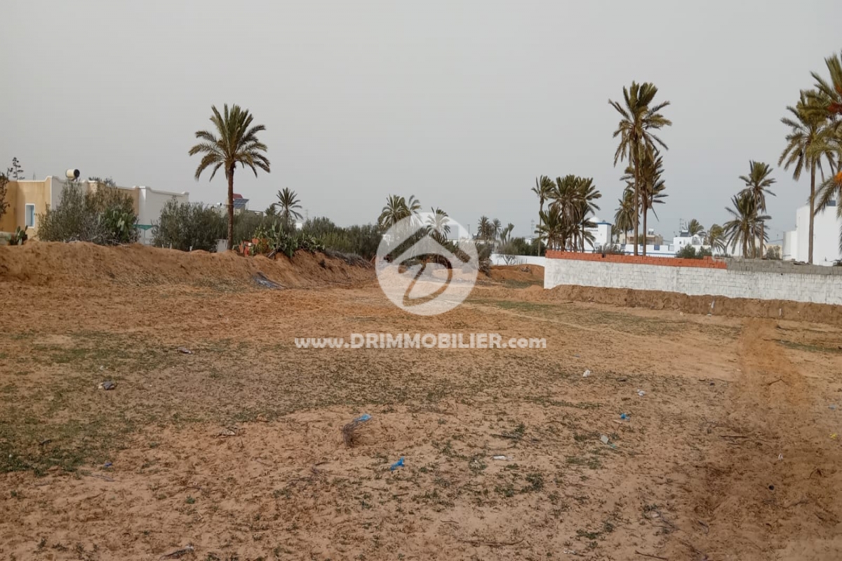 V754 -                            Koupit
                           Terrain Djerba