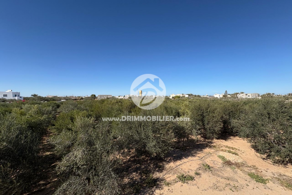 V761 -                            Vente
                           Terrain Djerba