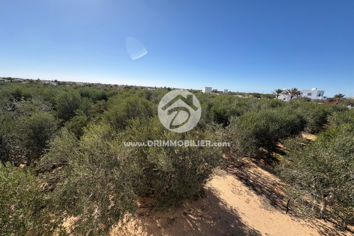 V761 -   Terrain Djerba