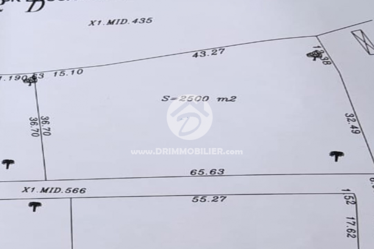 V763 -                            Vente
                           Terrain Djerba