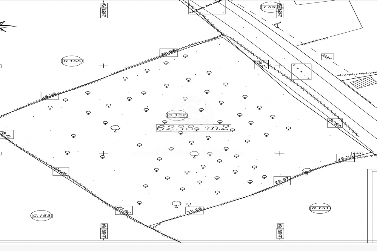 V766 -                            Vente
                           Terrain Djerba