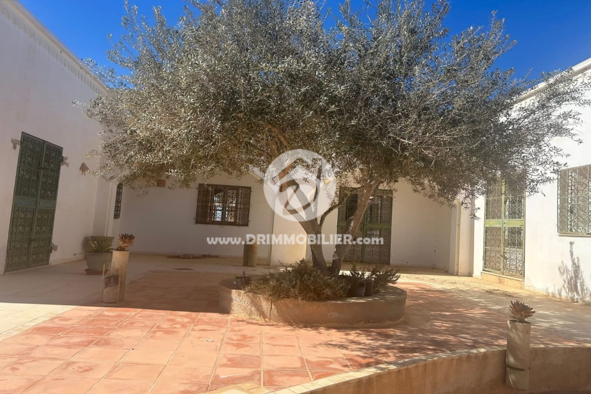 V767 -                            Vente
                           Villa Meublé Djerba
