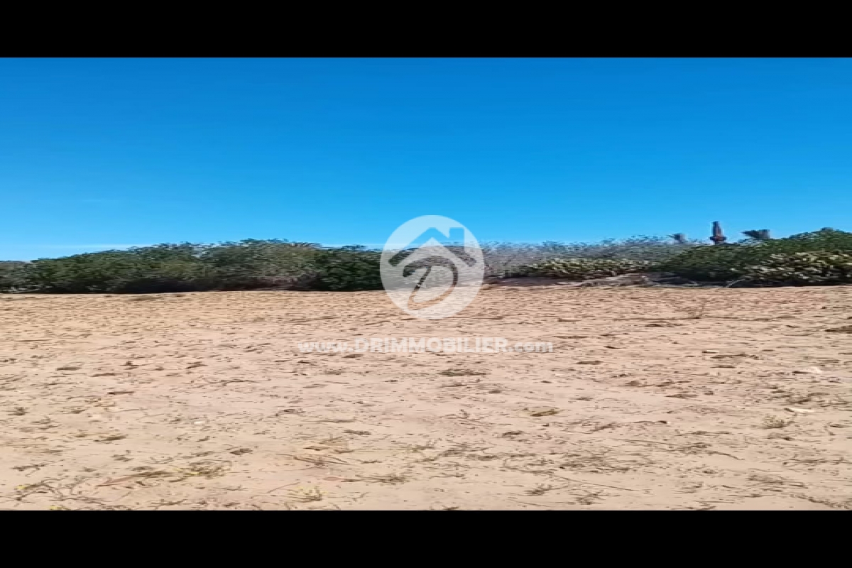 V775 -                            Vente
                           Terrain Djerba