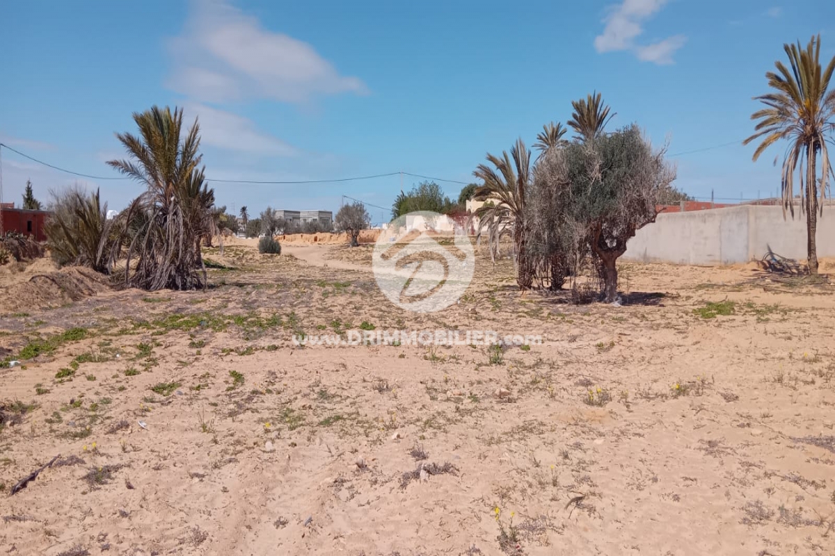 V776 -                            Vente
                           Terrain Djerba
