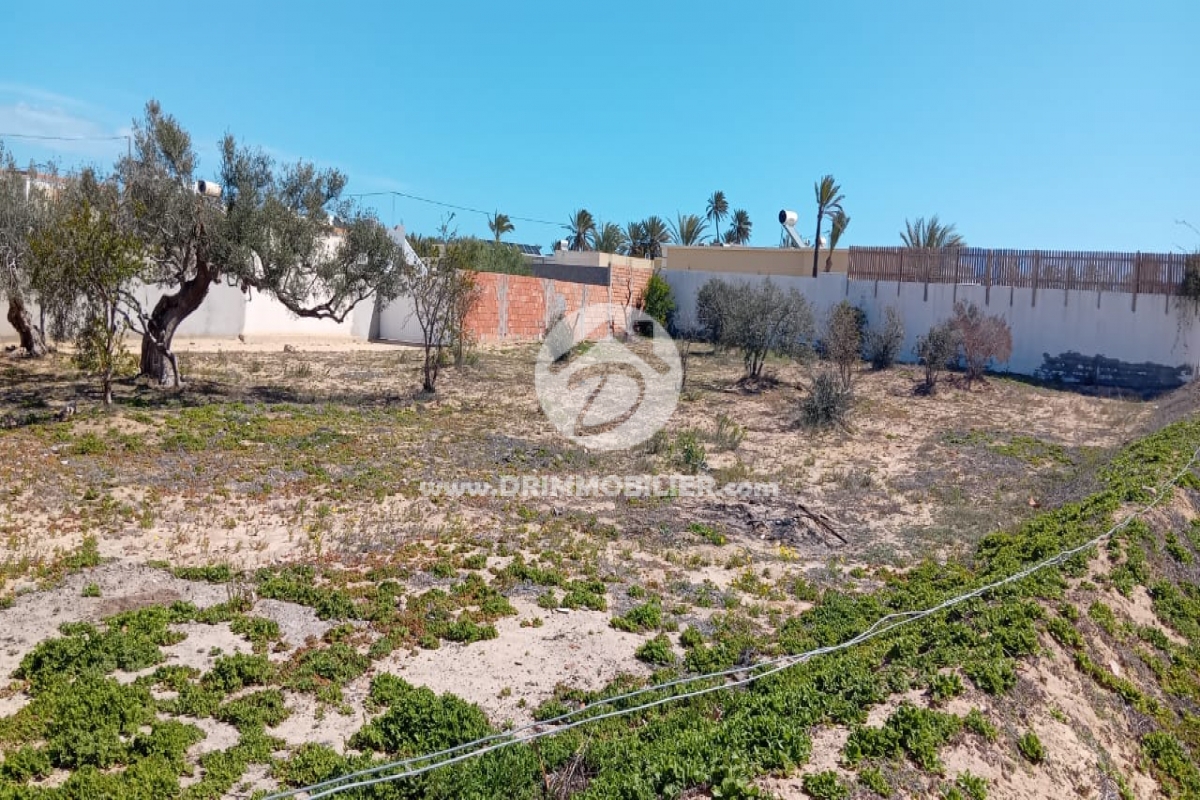 V777 -                            Vente
                           Terrain Djerba