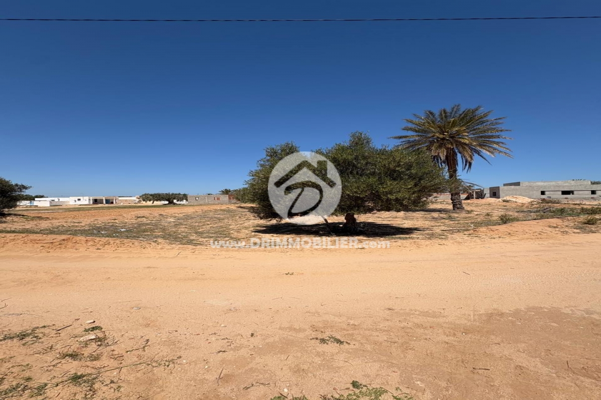 V779 -                            Vente
                           Terrain Djerba