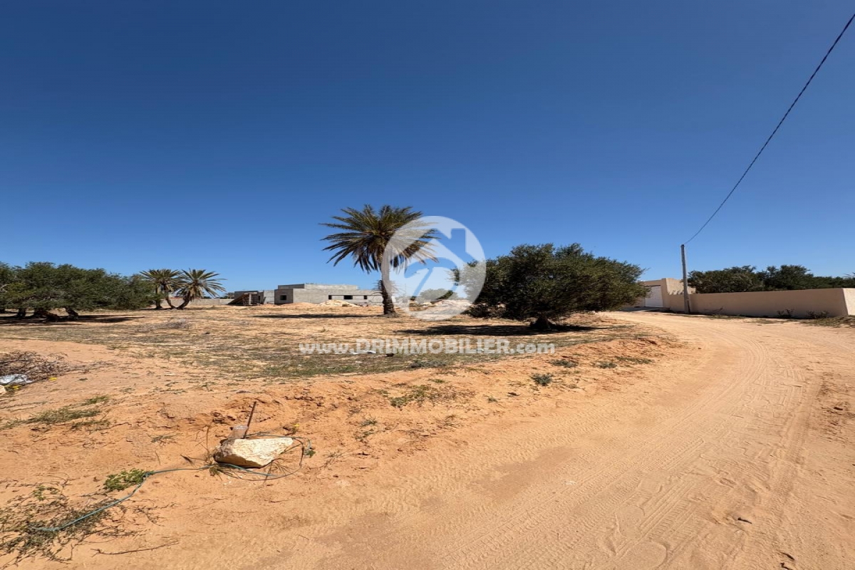 V779 -   Terrain Djerba