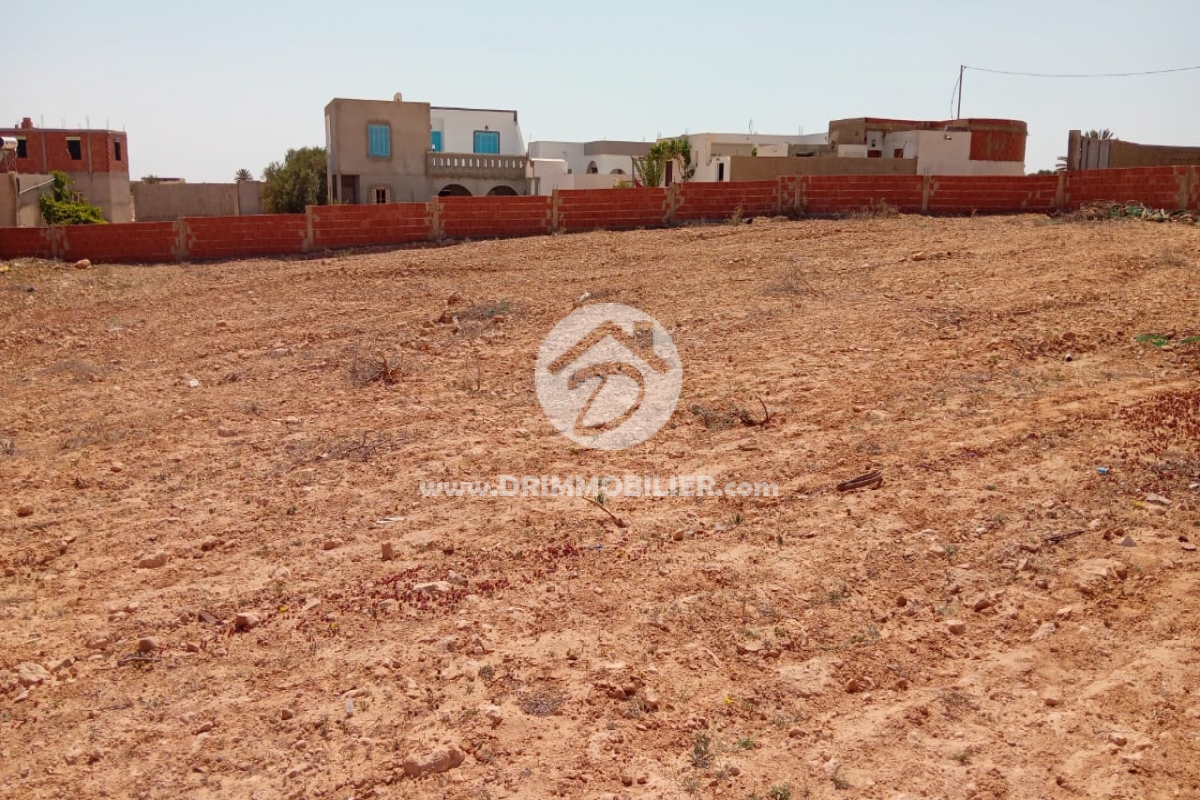 V788 -                            Vente
                           Terrain Djerba