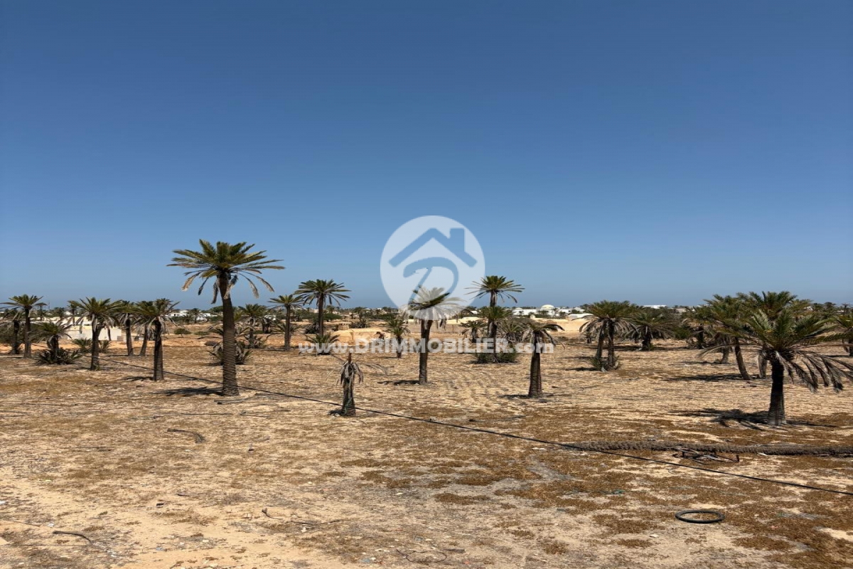 V790 -   Houch Djerbien Djerba