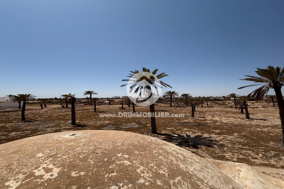 V790 -   Houch Djerbien Djerba