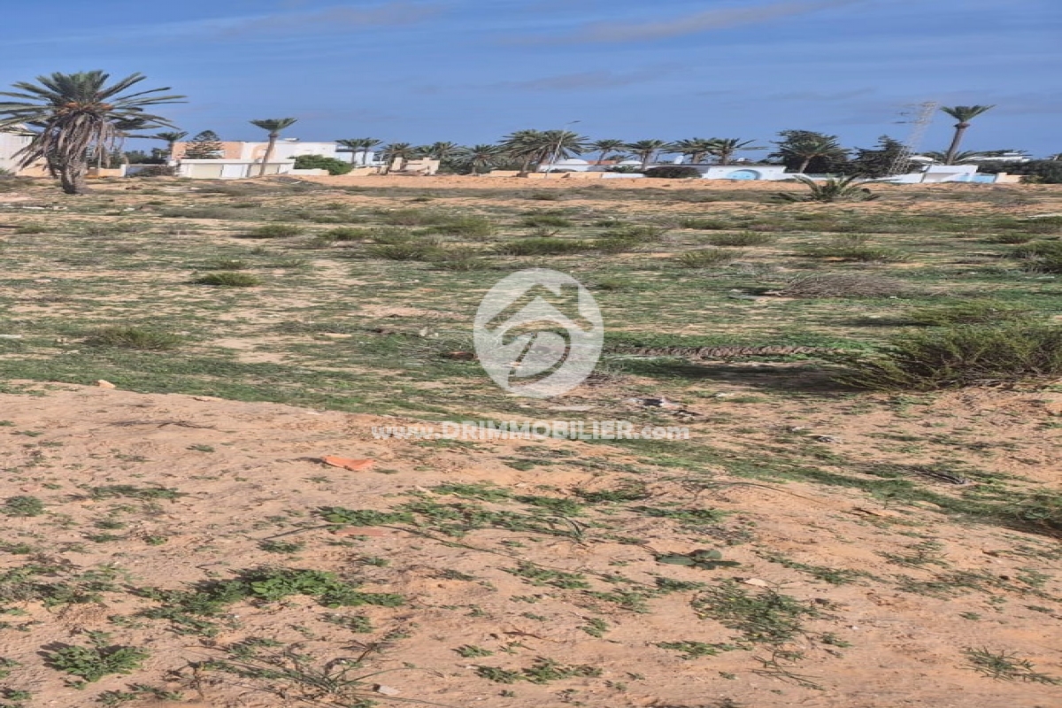 V795 -                            Vente
                           Terrain Djerba