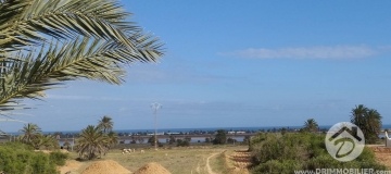 V174 -                            Sale
                           Terrain Djerba