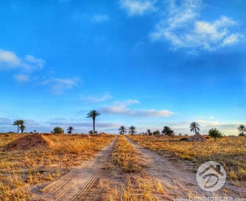 V179 -                            Sale
                           Terrain Djerba