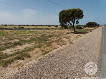 V184 -                            بيع
                           Terrain Djerba