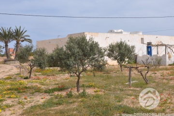  V186 -  Vente  Houch Djerbien Djerba