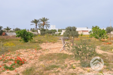 V186 -                            Vente
                           Houch Djerbien Djerba