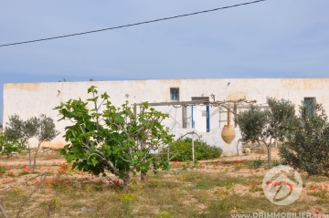 V186 -                            بيع
                           Houch Djerbien Djerba