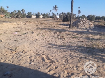 V198 -                            Koupit
                           Terrain Djerba