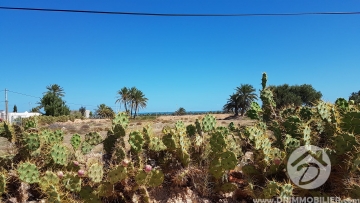 V207 -                            بيع
                           Terrain Djerba