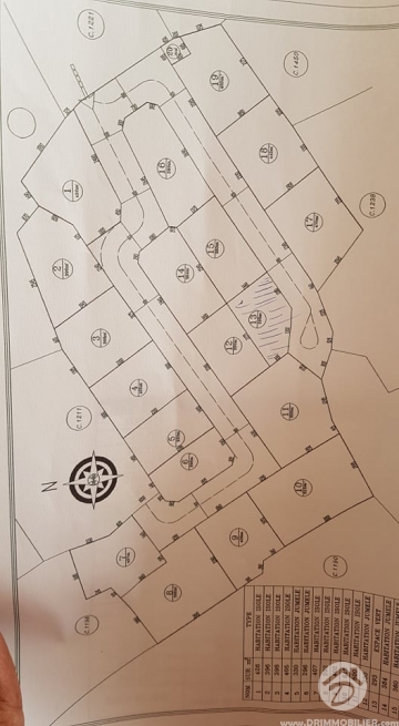 V208 -                            Sale
                           Terrain Djerba