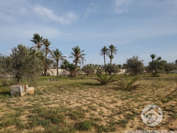  V219 -  Vente  Terrain Djerba