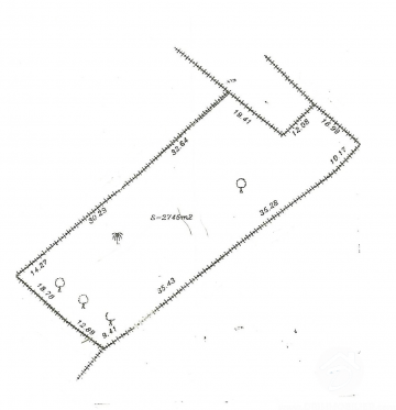 V272 -                            Koupit
                           Terrain Djerba