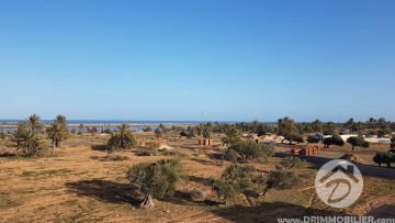 V279 -                            بيع
                           Terrain Djerba