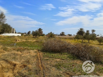 V282 -                            بيع
                           Terrain Djerba