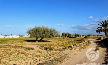 V286 -                            Vente
                           Terrain Djerba