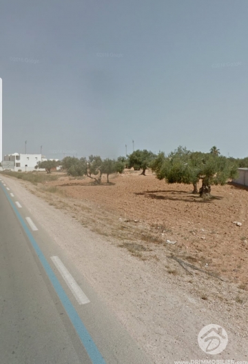 V287 -                            Vente
                           Terrain Djerba