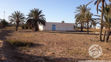 V297 - Vente à vendre Djerba