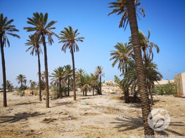 V318 -                            Vente
                           Houch Djerbien Djerba