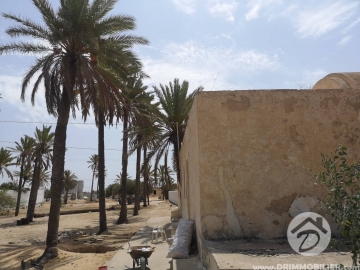 V318 -                            Koupit
                           Houch Djerbien Djerba