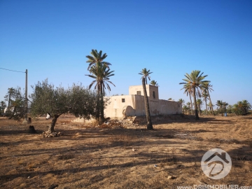 V334 -                            بيع
                           Houch Djerbien Djerba