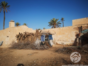 V334 -                            بيع
                           Houch Djerbien Djerba