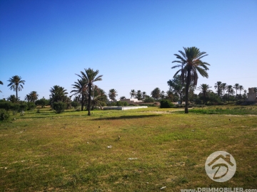 V364 -                            Sale
                           Terrain Djerba