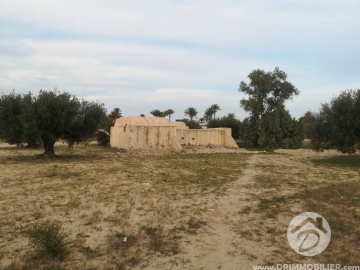 V369 -                            Sale
                           Houch Djerbien Djerba