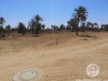 V413 -                            Koupit
                           Terrain Djerba