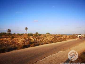 V422 -                            Sale
                           Terrain Djerba