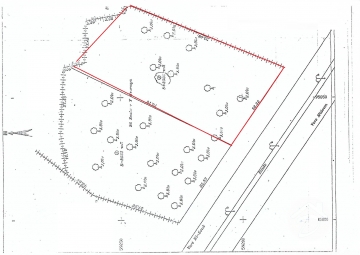 V435 -                            بيع
                           Terrain Djerba