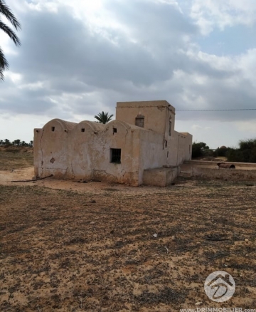 V437 -                            Sale
                           Houch Djerbien Djerba