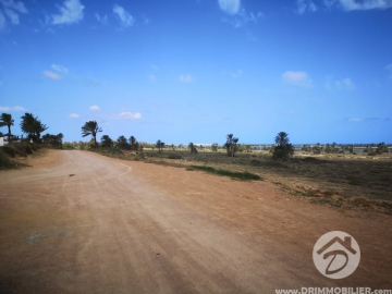 V449 -                            Koupit
                           Terrain Djerba