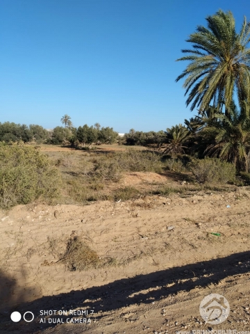 V467 -                            بيع
                           Terrain Djerba