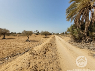 V495 -                            Vente
                           Terrain Djerba