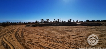 V506 -                            Sale
                           Terrain Djerba